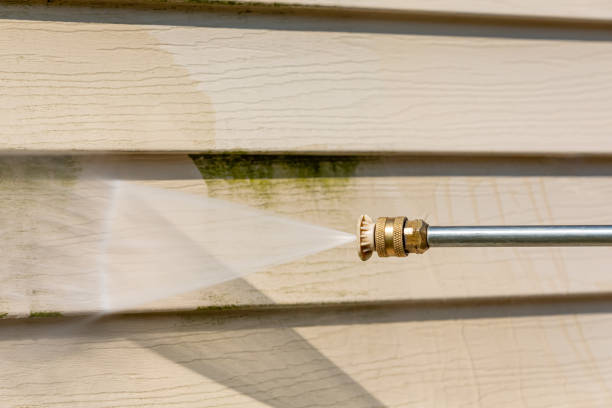 Best Best Pressure Washing Companies  in Lake Bryan, TX